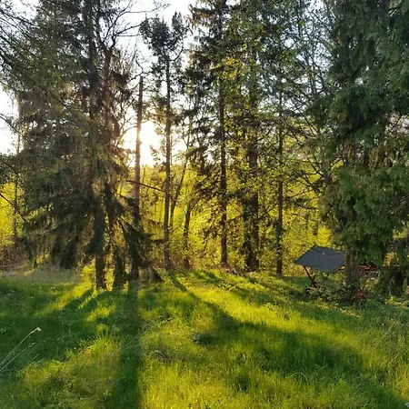 Vakantiehuis Gemutliches Ruhiges Haus Am Waldrand Eibenstock
