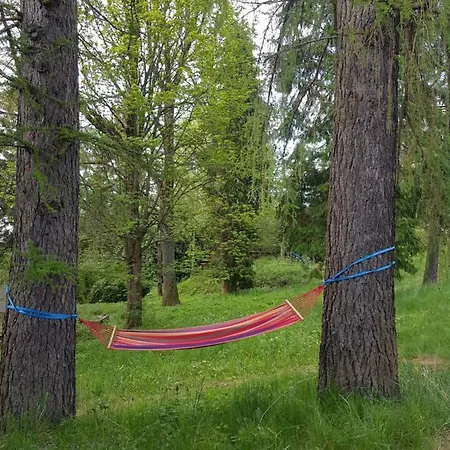 Gemutliches Ruhiges Haus Am Waldrand Vakantiehuis Eibenstock